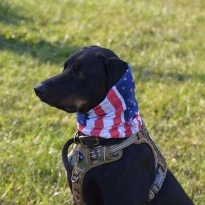 Meet your Posher, Joshua